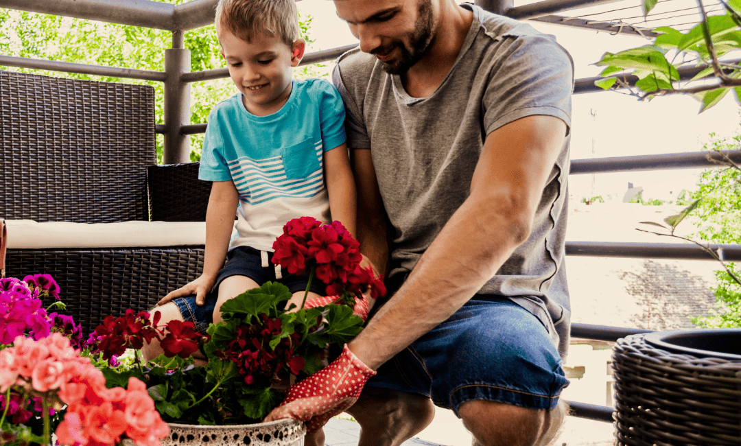 Vaderdag! Geef papa een cadeau dat groeit en bloeit: Tuinplanten en kamerplanten!