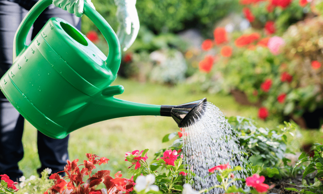 7 Praktische tips om planten water te geven in je tuin tijdens de zomer